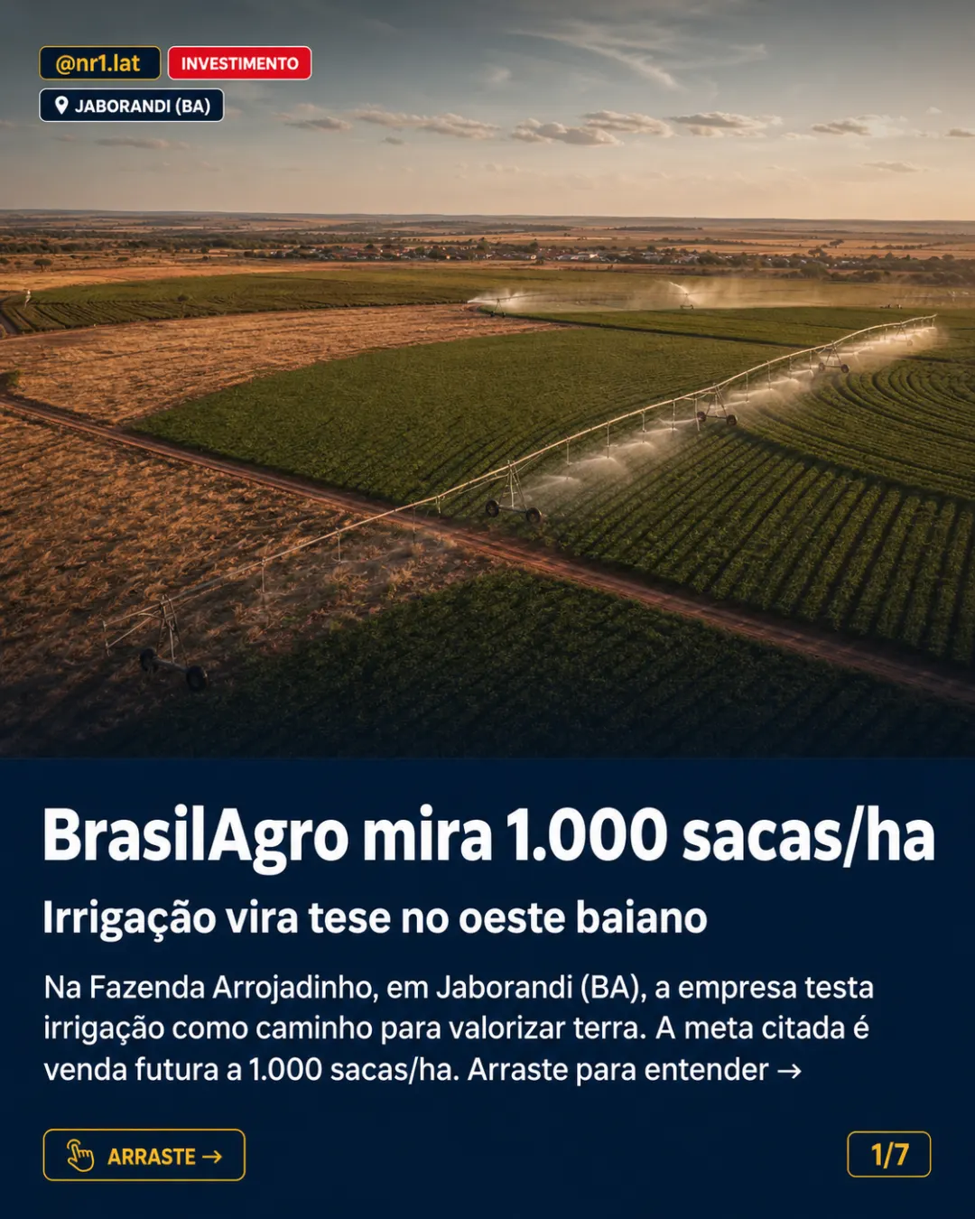BrasilAgro mira 1.000 sacas/ha com irrigação em Jaborandi (BA) — imagem 1 de 7