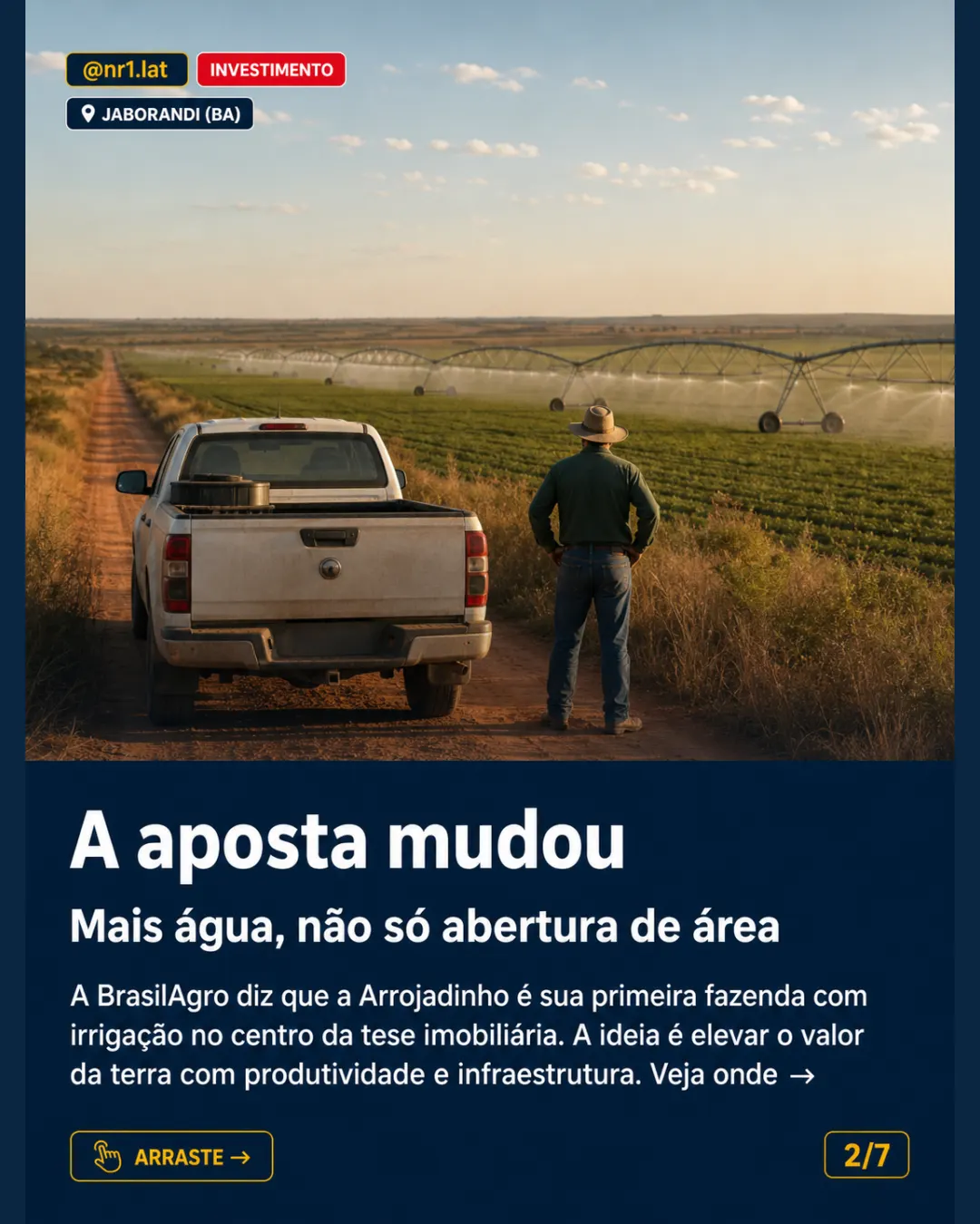 BrasilAgro mira 1.000 sacas/ha com irrigação em Jaborandi (BA) — imagem 2 de 7