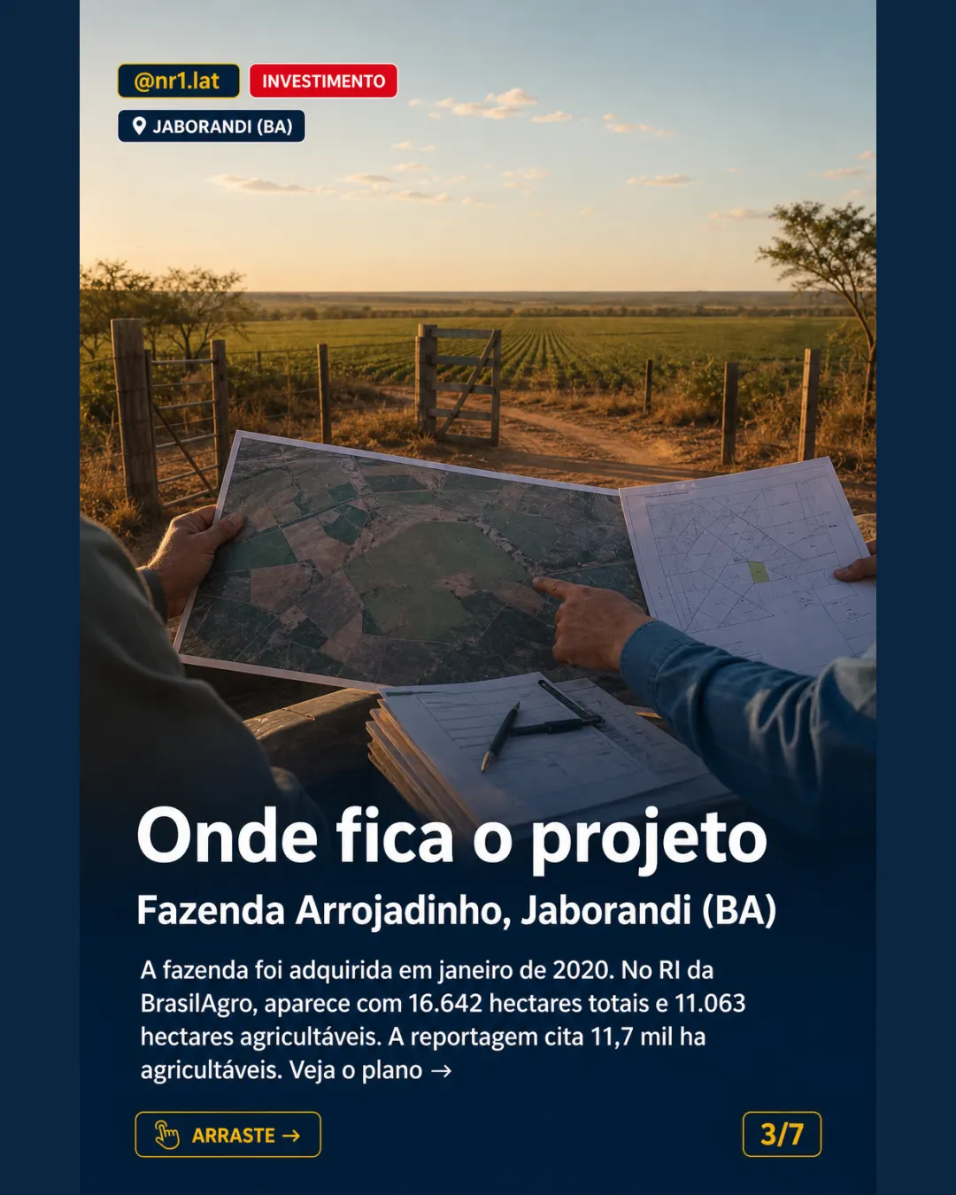 BrasilAgro mira 1.000 sacas/ha com irrigação em Jaborandi (BA) — imagem 3 de 7