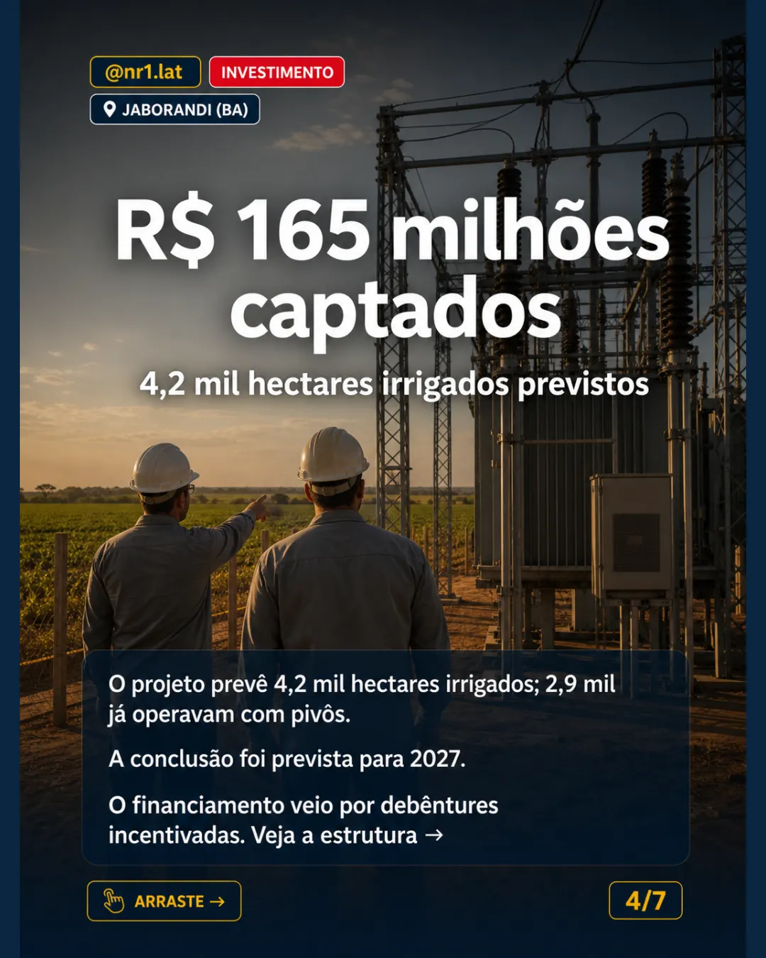 BrasilAgro mira 1.000 sacas/ha com irrigação em Jaborandi (BA) — imagem 4 de 7