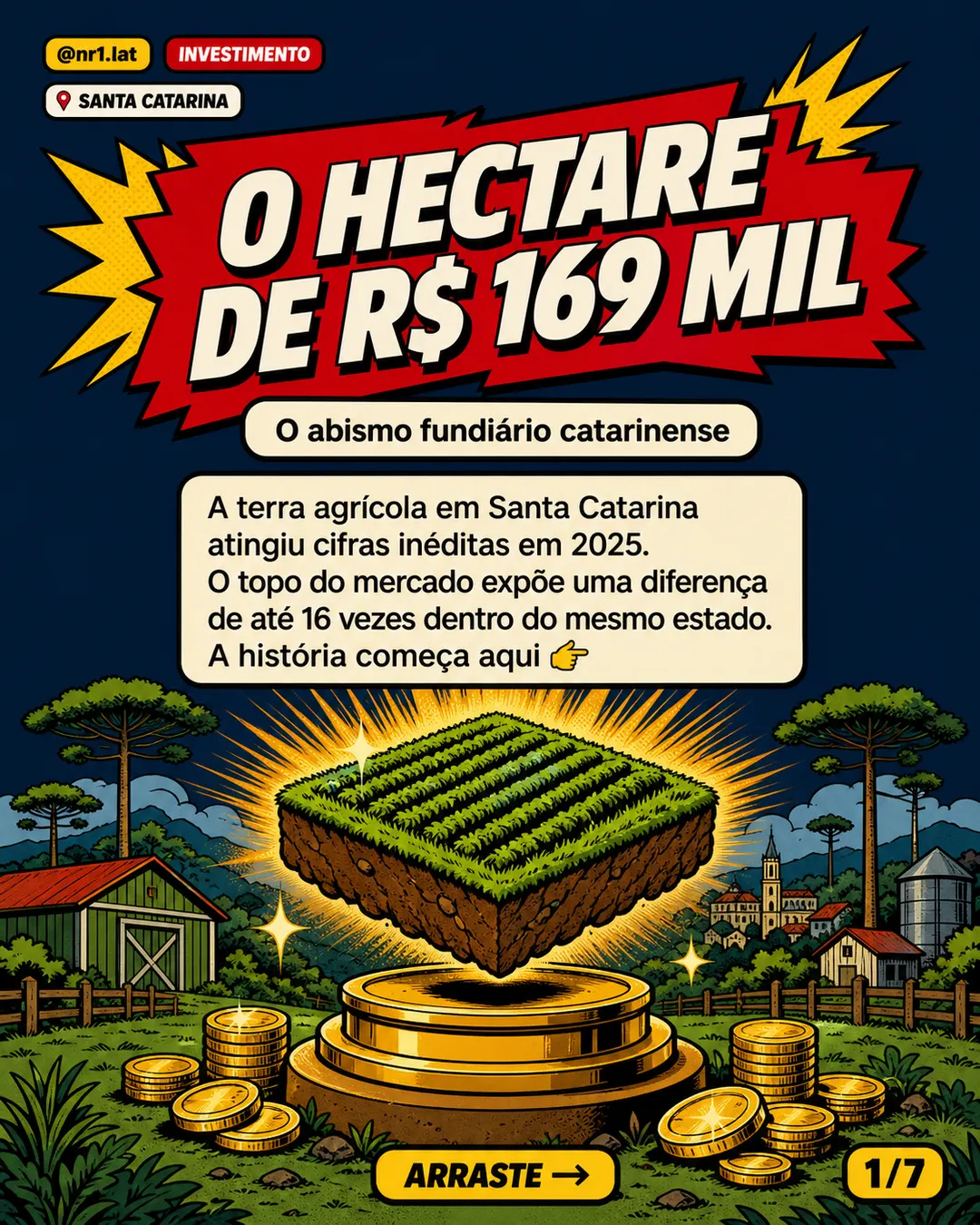 Hectare agrícola em Santa Catarina chega a R$ 169 mil e expõe abismo fundiário — imagem 1 de 7