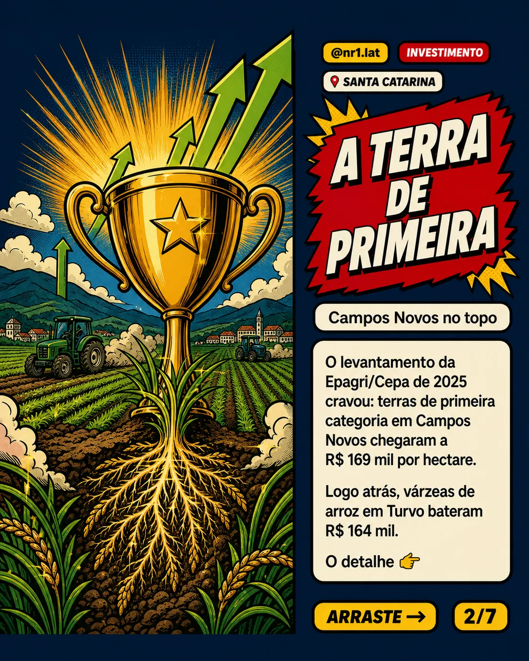 Hectare agrícola em Santa Catarina chega a R$ 169 mil e expõe abismo fundiário — imagem 2 de 7