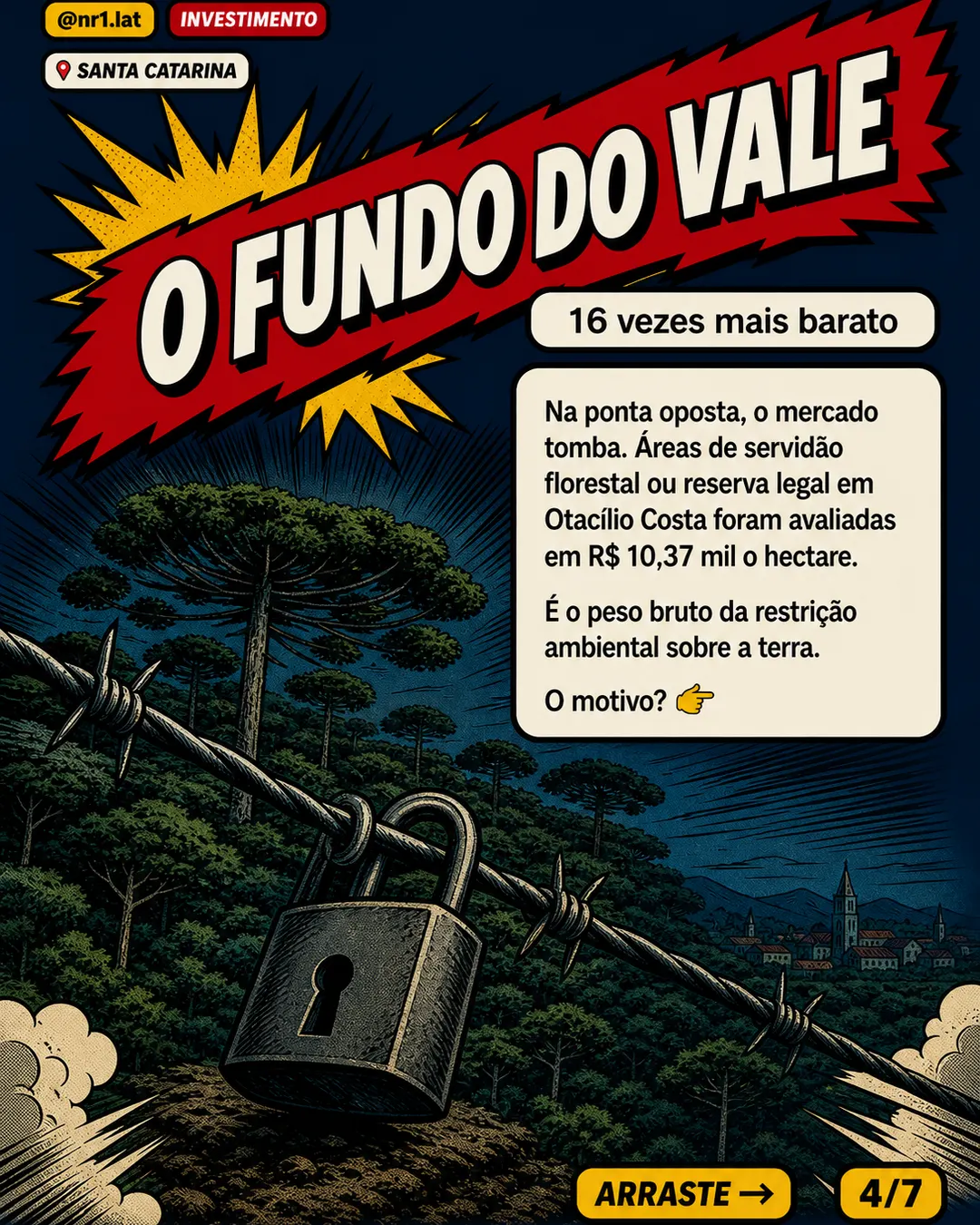 Hectare agrícola em Santa Catarina chega a R$ 169 mil e expõe abismo fundiário — imagem 4 de 7