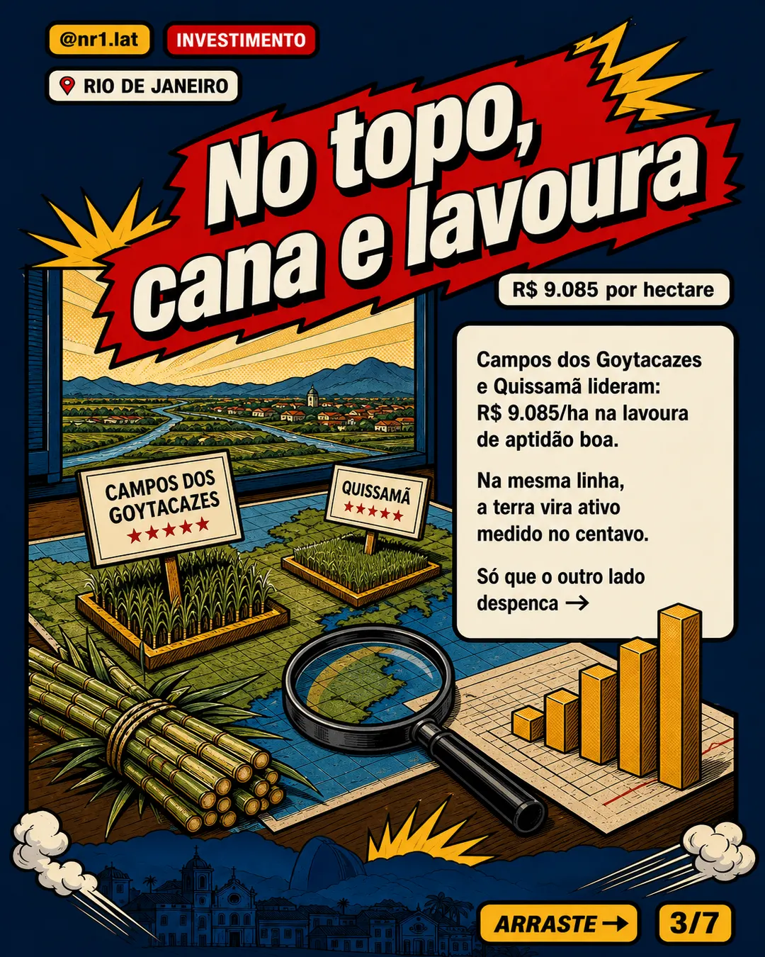 Rio de Janeiro fixa terra nua em até R$ 9.085/ha — imagem 3 de 7